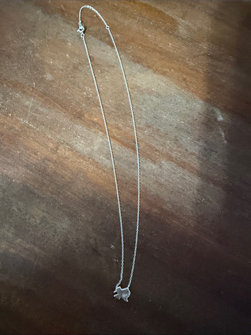 Delicate Sterling Silver Texas Pendant Necklace - Women's Jewelry